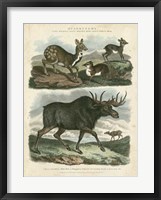 Deer & Moose Fine Art Print