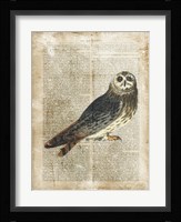 Antiquarian Birds I Fine Art Print