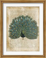 Antiquarian Birds V Fine Art Print