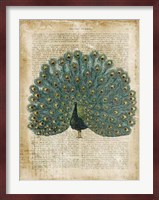 Antiquarian Birds V Fine Art Print