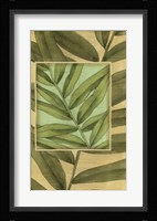 Palm Inset Composition II Framed Print