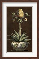 Potted Pineapple I Fine Art Print