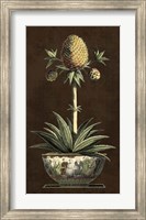 Potted Pineapple I Fine Art Print