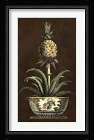 Potted Pineapple II Framed Print
