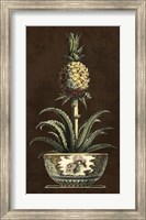 Potted Pineapple II Fine Art Print