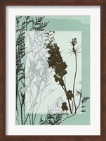 Translucent Wildflowers II Fine Art Print