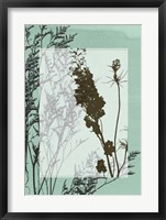 Translucent Wildflowers II Fine Art Print