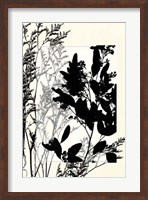 Translucent Wildflowers X Fine Art Print