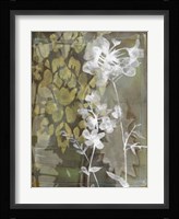 Dusty Garden I Framed Print