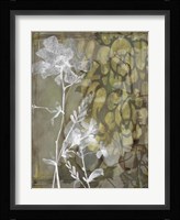 Dusty Garden II Framed Print