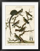 Ornithology I Fine Art Print