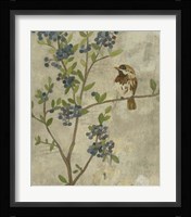 Joyful Garden II Framed Print