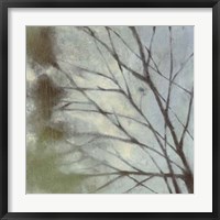 Diffuse Branches I Framed Print