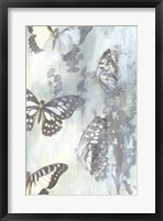 Flutter I Framed Print