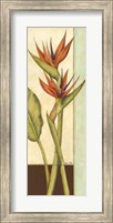 Tropicana Botanical II Fine Art Print