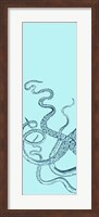 Octopus Triptych I Fine Art Print