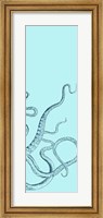 Octopus Triptych III Fine Art Print