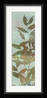 Leaf Overlay II Framed Print
