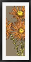 Graphic Flower Panel I Fine Art Print