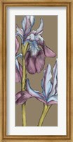 Graphic Flower Panel III Fine Art Print