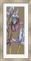 Graphic Flower Panel III Fine Art Print