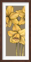 Graphic Flower Panel IV Fine Art Print
