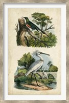 Avian Sanctuary I Fine Art Print