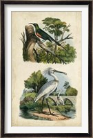 Avian Sanctuary I Fine Art Print