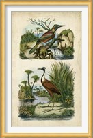 Avian Sanctuary II Fine Art Print