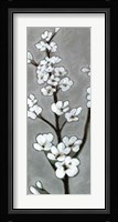 White Blossoms I Framed Print