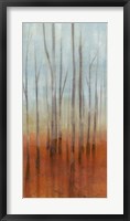Birch Forest I Framed Print