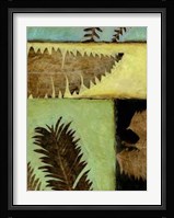 Fossilized Ferns IV Framed Print