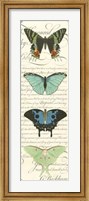 Butterfly Prose Panel II Fine Art Print