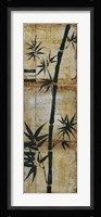 Patinaed Bamboo II Framed Print