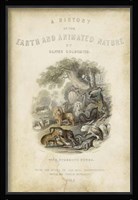 Earth & Animated Nature Fine Art Print