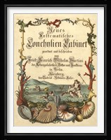 Cabinet of Conchology Fine Art Print