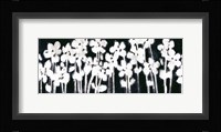 White Flowers on Black II Fine Art Print