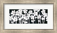 White Flowers on Black II Fine Art Print