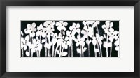 White Flowers on Black II Fine Art Print