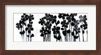 Black Flowers on White I Fine Art Print