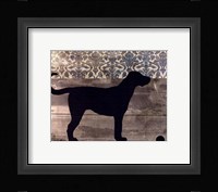 Wanna Play I Framed Print