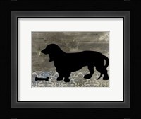 Wanna Play II Framed Print