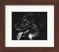 Canine Scratchboard XIV - black Fine Art Print