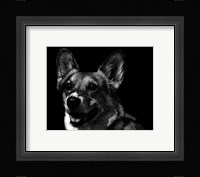 Canine Scratchboard XXIX Fine Art Print