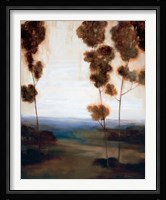 Through the Trees I Fine Art Print