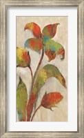 Tigerlilies I Fine Art Print