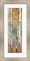 Butterscotch Birch Trees I Fine Art Print