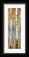 Butterscotch Birch Trees II Framed Print