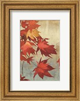 Maple Leaves I Fine Art Print
