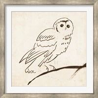 Owl II Fine Art Print